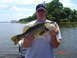this one came from lake harris in fla...